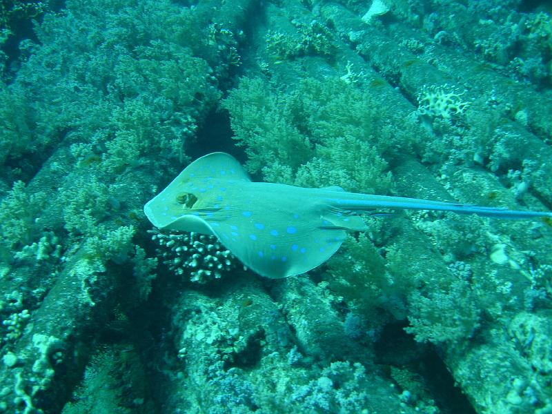 07 EG-01 045.JPG